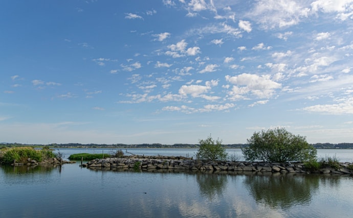 こっそり増える不気味な外来魚『ダントウボウ』　なぜ日本にいるの？