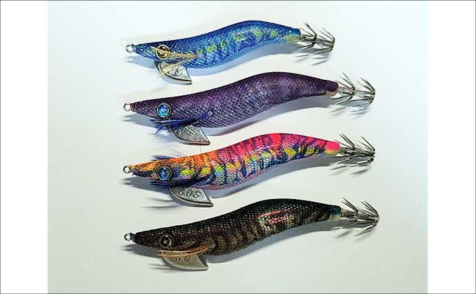 「秋イカシーズン到来!」佐多岬の実釣で学ぶ初心者向けエギング基本講座【鹿児島】