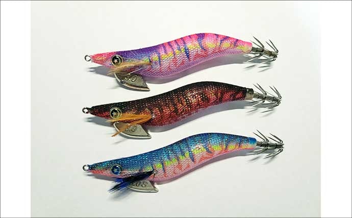 「秋イカシーズン到来!」佐多岬の実釣で学ぶ初心者向けエギング基本講座【鹿児島】