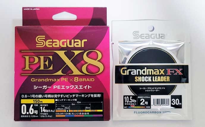 「秋イカシーズン到来!」佐多岬の実釣で学ぶ初心者向けエギング基本講座【鹿児島】