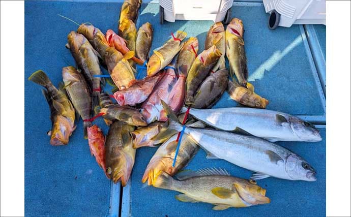 【沖のルアー釣果速報】玄界灘のタイラバで3kg大ダイ浮上！アコウ＆アマダイ交じりの好展開（福岡）