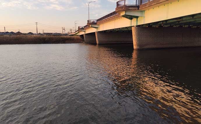 真冬のルアーシーバス釣行で50cm級が連発【千葉・養老川】バチ抜けを発見！