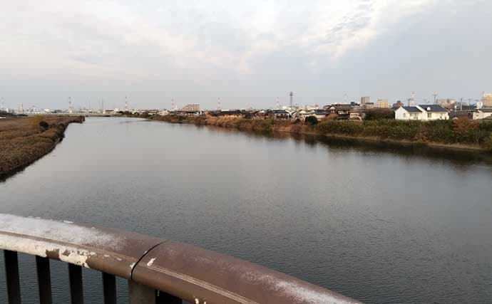 真冬のルアーシーバス釣行で50cm級が連発【千葉・養老川】バチ抜けを発見！