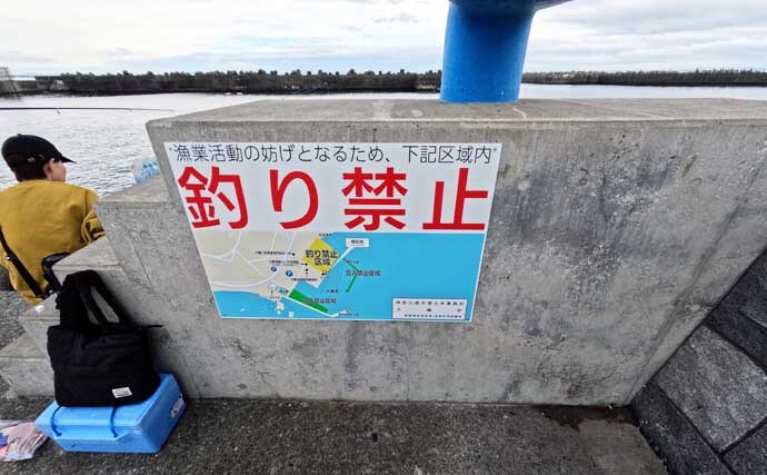 大磯港の五目釣りでクロサギやアイゴをキャッチ【神奈川】夫婦でのんびり港グルメも満喫