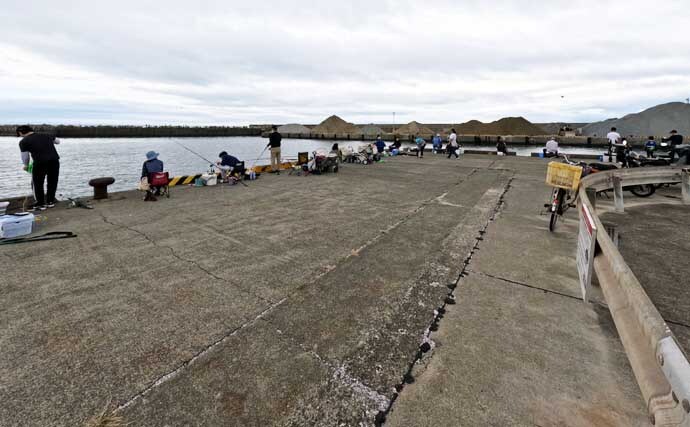 大磯港の五目釣りでクロサギやアイゴをキャッチ【神奈川】夫婦でのんびり港グルメも満喫