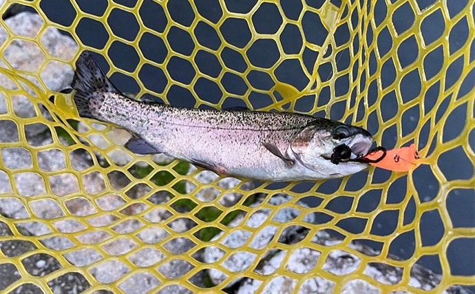 千早川マス釣り場でのエリアトラウト釣行【大阪】表層からボトムまでレンジ攻略に苦戦