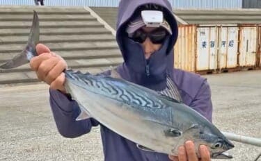 「秋の離島は釣り天国!」伊豆大島のフカセ釣りで55cm良型スマガツオを手中【東京】