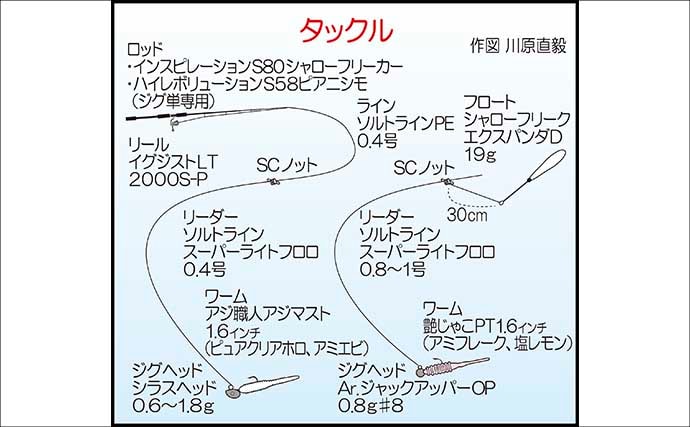 遠投アジングで25cm級アジ手中！【山口・白浜漁港】シャローフリークで沖の潮目を攻略