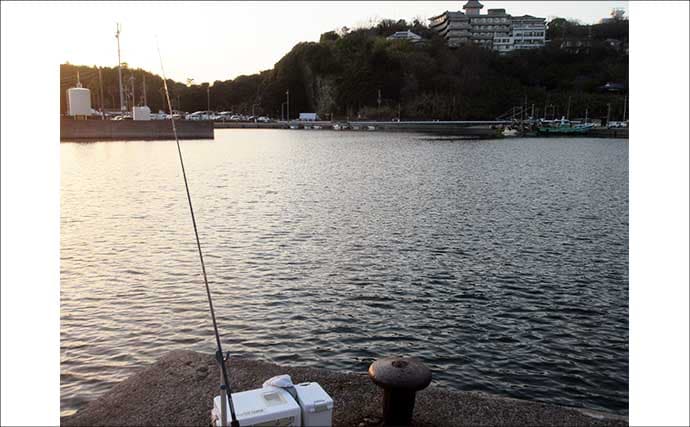 「低水温期でもキスは釣れた！」超早場の投げキス釣りで本命の動きを捉える