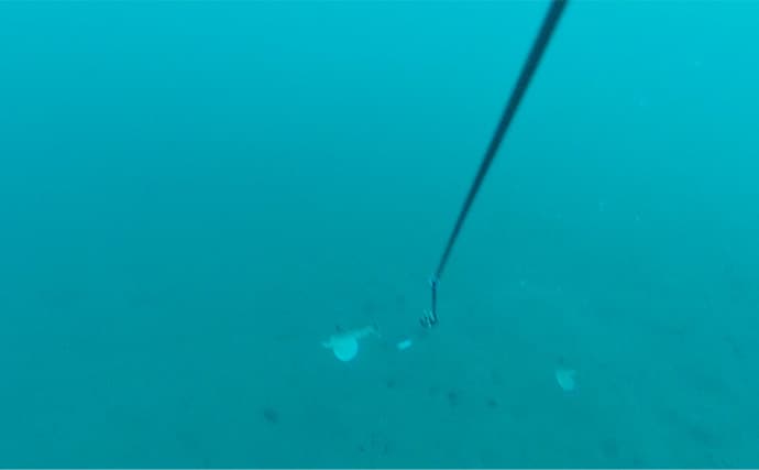 「海底の起伏を狙うと魚が釣れる！」 ボートアマダイ釣りで地形釣りが的中