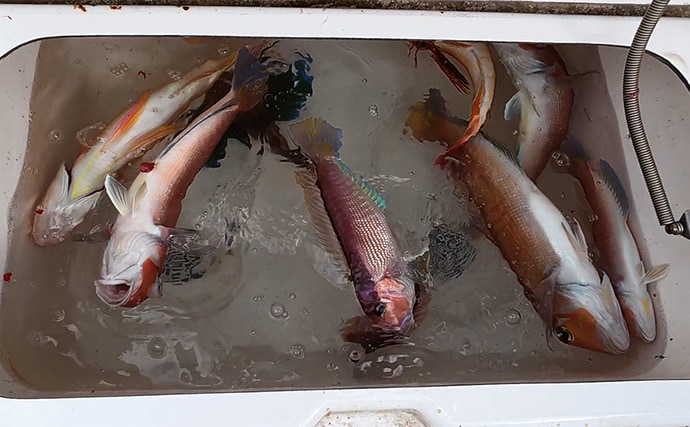 「海底の起伏を狙うと魚が釣れる！」 ボートアマダイ釣りで地形釣りが的中