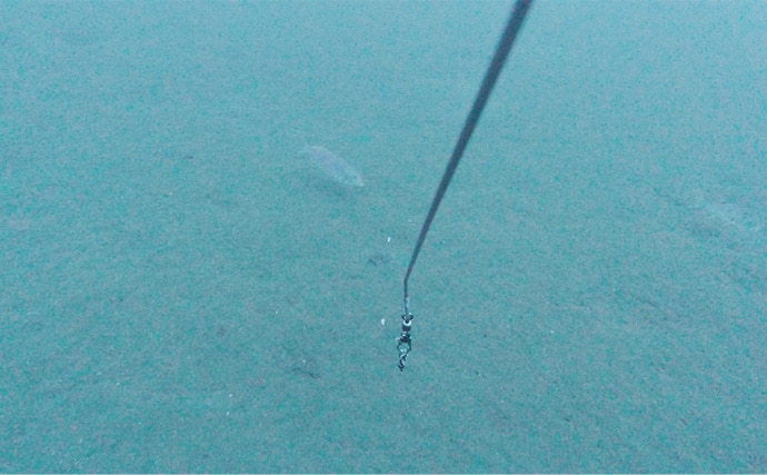 「海底の起伏を狙うと魚が釣れる！」 ボートアマダイ釣りで地形釣りが的中