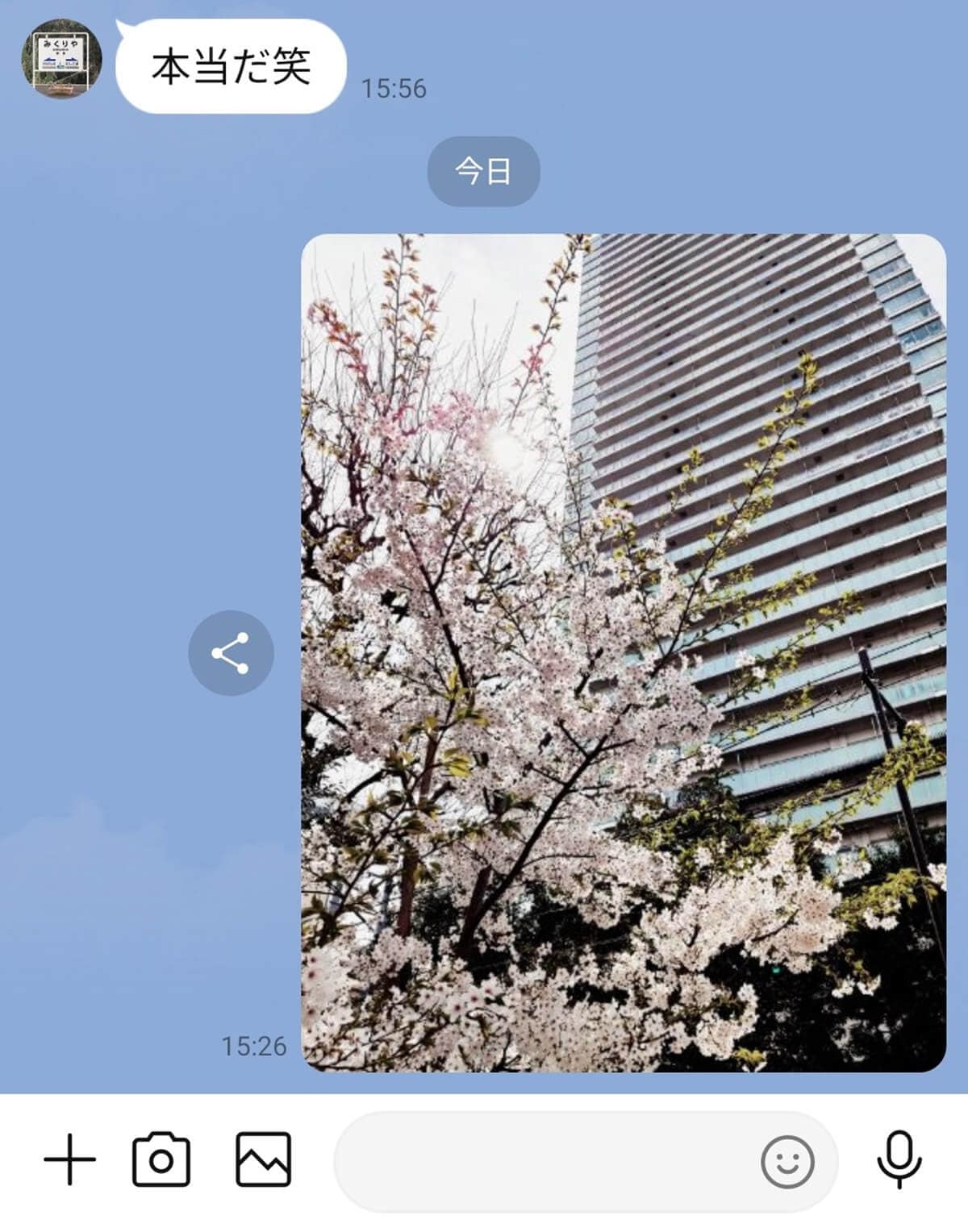 LINEで送った写真、なんか画質悪くない? 原因とオリジナル画質で送る方法の画像1