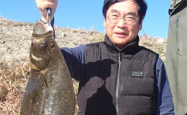 イワシの泳がせ釣りで62cm頭にヒラメ好捕【茨城】船中1～6尾と数も安定