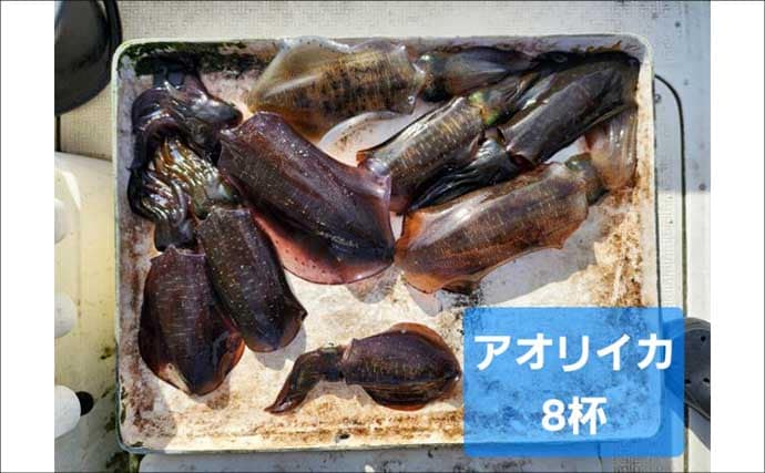 【沖釣りルアー釣果速報】ティップランで釣る人16匹!志摩沖のアオリイカが高活性(三重)