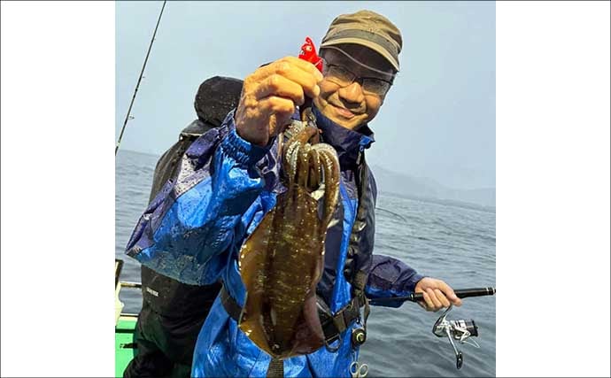 【沖釣りルアー釣果速報】ティップランで釣る人16匹!志摩沖のアオリイカが高活性(三重)