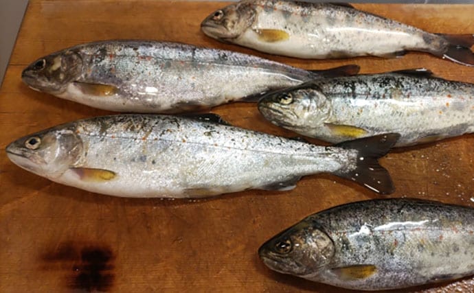 渓流魚をむやみに大量キープしない方が良い理由　学ぶべきルールとモラルとは？