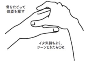 ツボの探し方⇒骨のキワや内側、押すと「ツーン」とした感覚が走れば正解!