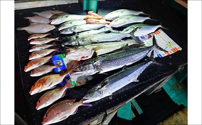 【沖のルアー釣果速報】志摩沖のトンジギで24.5kgタネトン降臨！（三重）