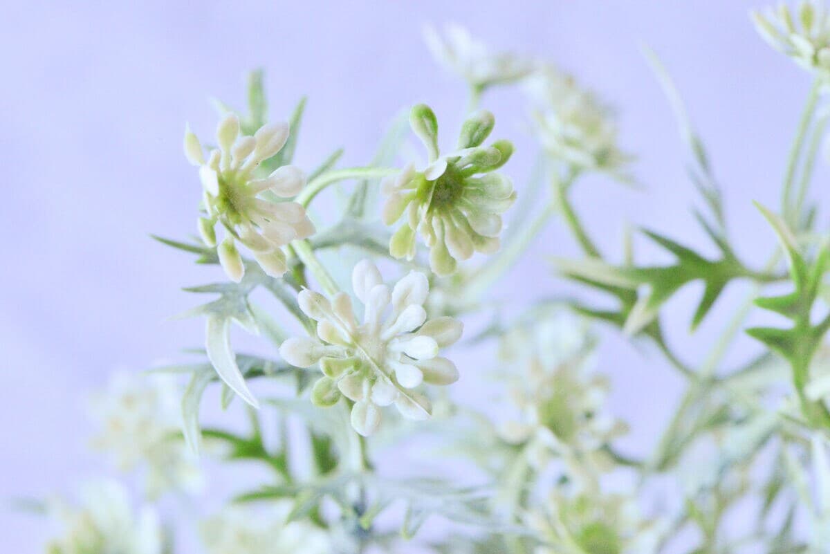 【ダイソー】造花のおすすめ商品とおしゃれなアレンジを紹介