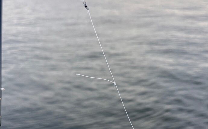 泉大津でのショアジギング釣行で無限サバ祭り【大阪】サゴシは不発