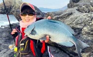 「クロ(メジナ)が入れ食い!」磯フカセ釣りで良型乱舞【大分・蒲江の磯】