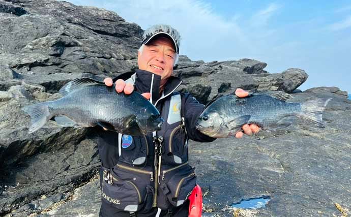 「クロ（メジナ）が入れ食い！」磯フカセ釣りで良型乱舞【大分・蒲江の磯】
