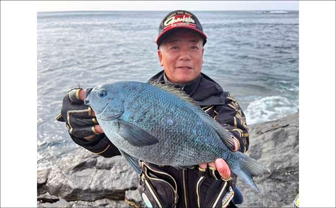 「クロ（メジナ）が入れ食い！」磯フカセ釣りで良型乱舞【大分・蒲江の磯】