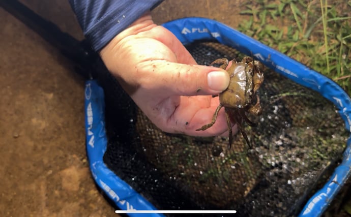 「美味しいカニは海にいる」は間違い？　川や田んぼにいるカニが実は美味だった