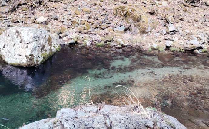 「あなたは粘る？移動する？」 渓流エサ釣りにおけるポイント移動の判断基準