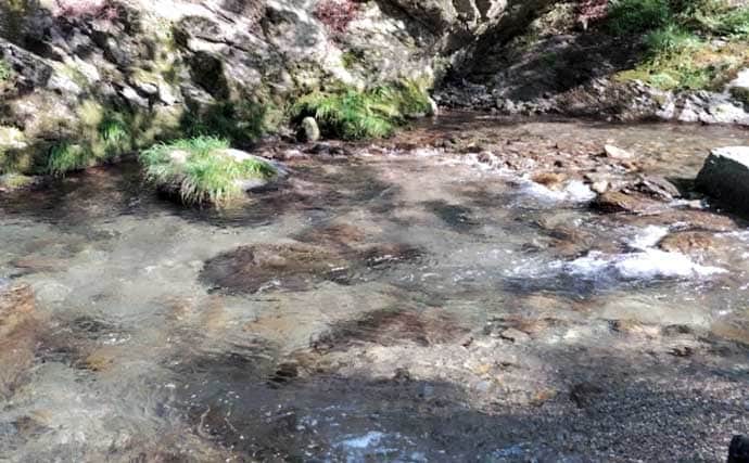 「あなたは粘る？移動する？」 渓流エサ釣りにおけるポイント移動の判断基準