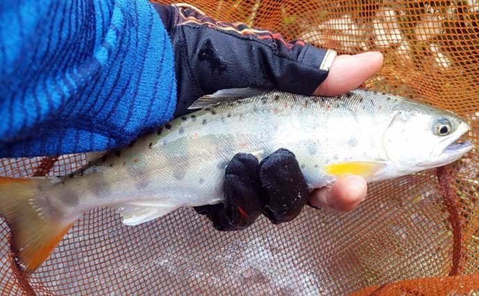 「あなたは粘る？移動する？」 渓流エサ釣りにおけるポイント移動の判断基準