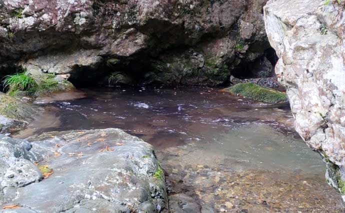 「あなたは粘る？移動する？」 渓流エサ釣りにおけるポイント移動の判断基準