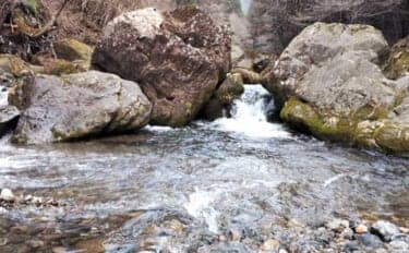 「あなたは粘る？移動する？」 渓流エサ釣りにおけるポイント移動の判断基準