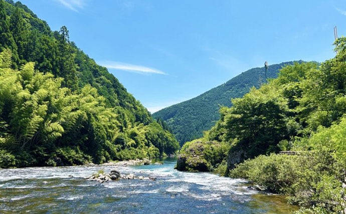 【水辺の豊かさが小児喘息の罹患リスクを抑止する？】　生物多様性の最新研究に注目
