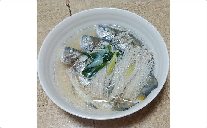 釣れた若魚で作るレシピ:シバチンの吸い物 傷ついた個体を美味しくいただこう