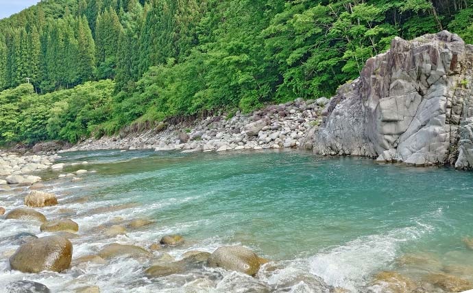 「美形ヤマメに大型イワナも魅力！」高原川で楽しむ本流渓流釣り場ガイド【岐阜】