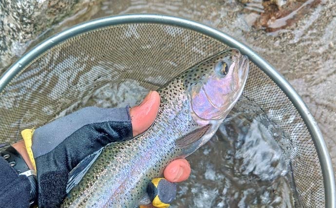 「美形ヤマメに大型イワナも魅力！」高原川で楽しむ本流渓流釣り場ガイド【岐阜】