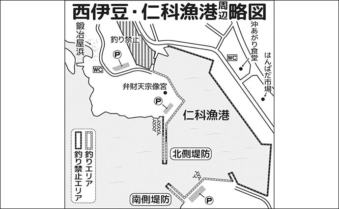 家族4人で楽しむ仁科漁港のサビキ釣り旅行【静岡】小メジナやベラが次々ヒット!