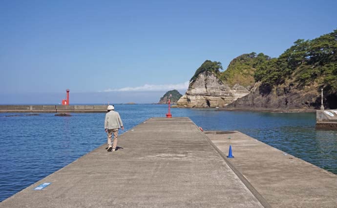 家族4人で楽しむ仁科漁港のサビキ釣り旅行【静岡】小メジナやベラが次々ヒット!