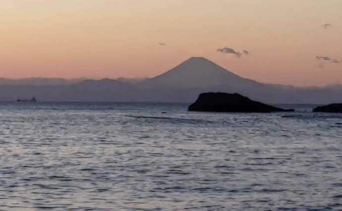 ウキフカセ釣りで本命クロダイ最大48cm頭に11尾手中【富浦・南ケイセン】磯際攻略が的中