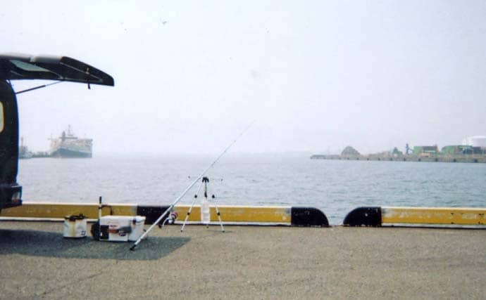 「父の形見のタックルで清水港へ」投げ釣りで出会った20cmシロギスに感動【静岡】