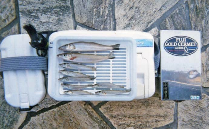 「父の形見のタックルで清水港へ」投げ釣りで出会った20cmシロギスに感動【静岡】