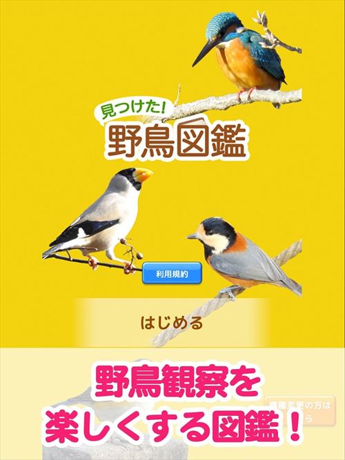 見つけた！野鳥図鑑