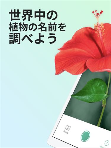 PictureThis：撮ったら、判る-1秒植物図鑑