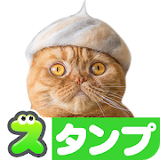 無料スタンプ・猫の「抜け毛帽子」