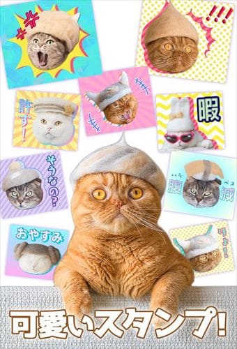 無料スタンプ・猫の「抜け毛帽子」