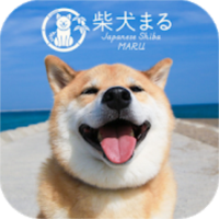 【柴犬まる】無料きせかえ-かわいい壁紙・アイコン