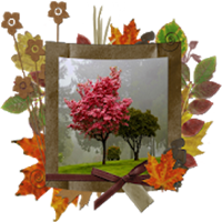 秋フォトフレーム