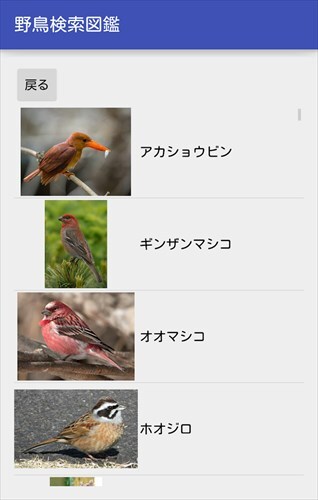 野鳥検索図鑑